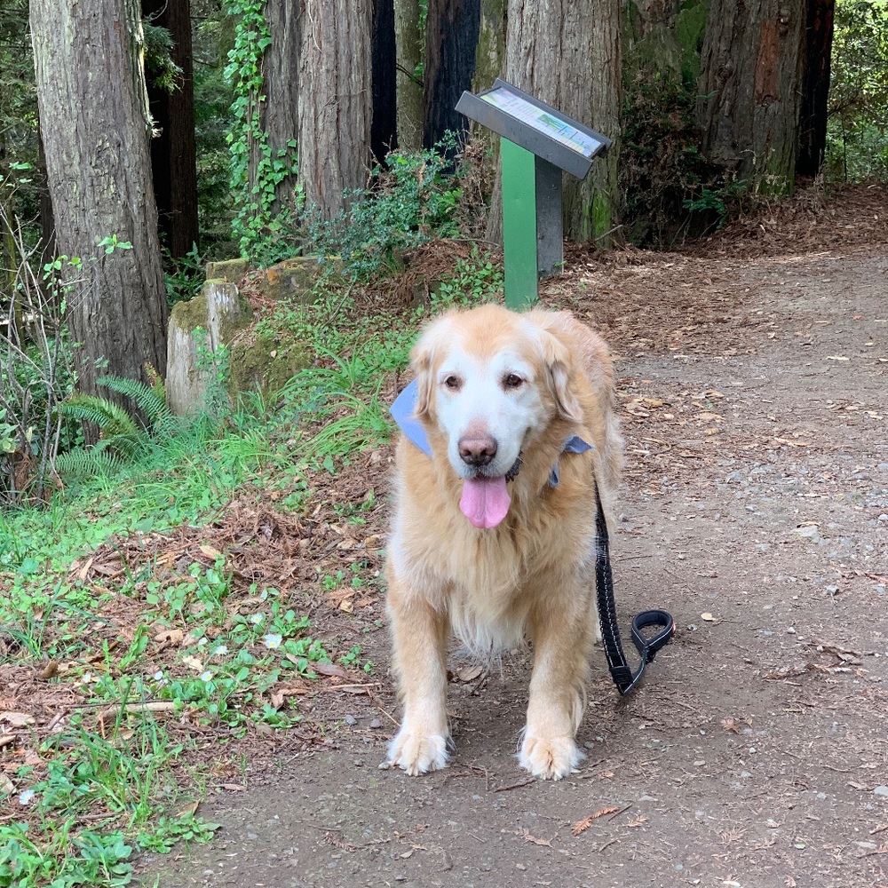 Meet your Posher, Eve